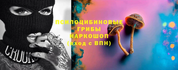 шишки Алексеевка