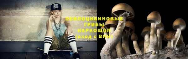 бутират Алзамай