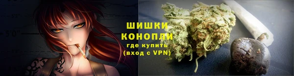 шишки Алексеевка