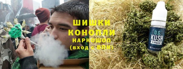 шишки Алексеевка
