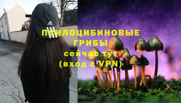 mdpv Алексин