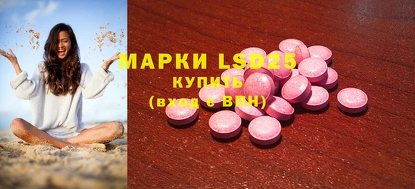 прущие грибы Верея