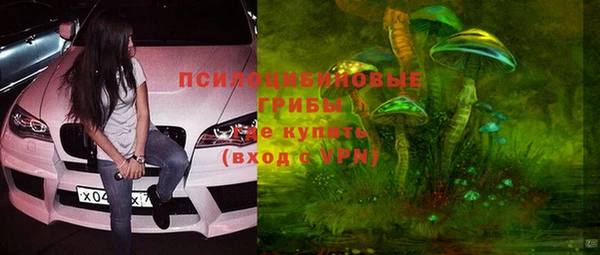 бутират Алзамай