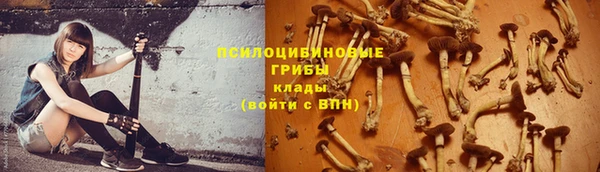 шишки Алексеевка