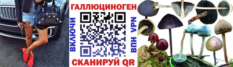 Галлюциногенные грибы мухоморы  магазин  наркотиков  Навашино 